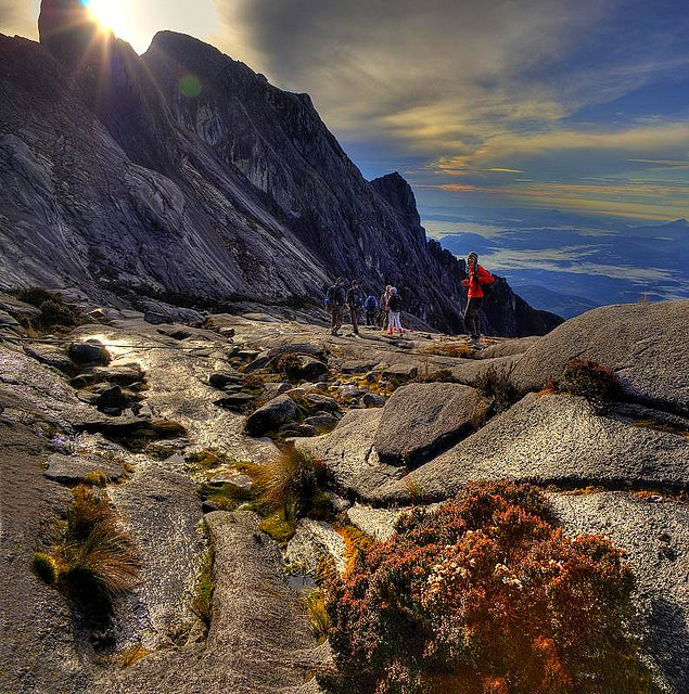 キナバル自然公園