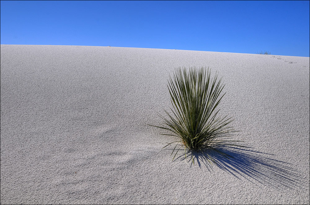 雪のように白い奇跡の砂漠「ホワイトサンズ国定記念物」