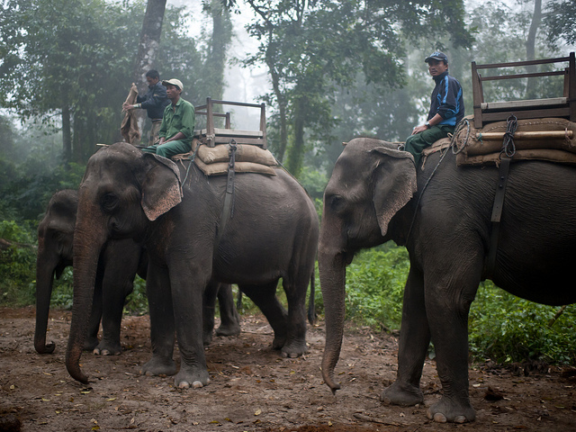 チトワン国立公園