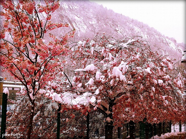 マデリウ-ペラフィタ-クラーロル渓谷