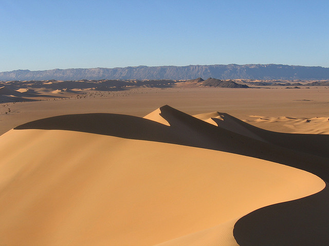 アイールとテネレの自然保護区群