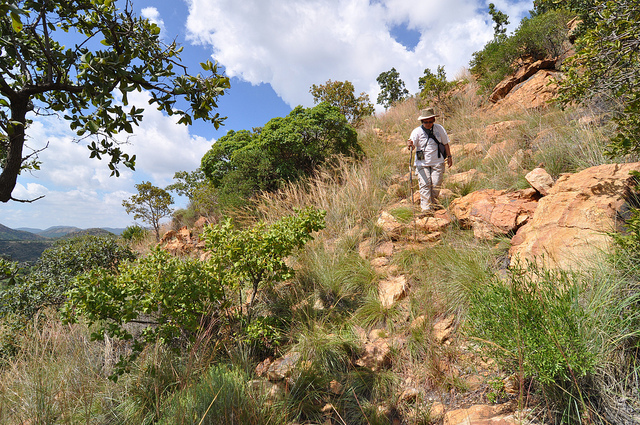 フレーデフォート・ドーム