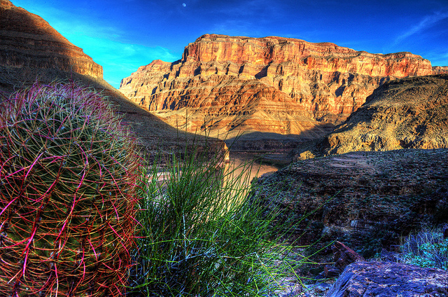 グランド・キャニオン国立公園