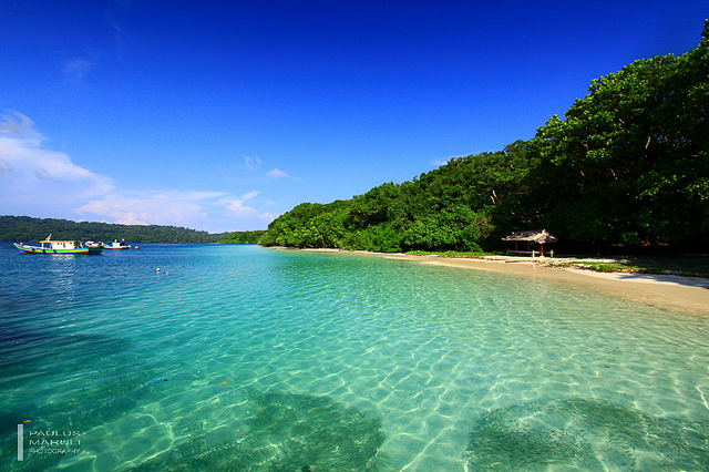 ウジュン・クロン国立公園