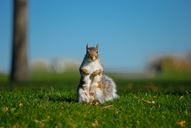 ケベック旧市街の歴史地区