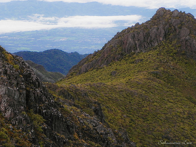 タラマンカ地方-ラ・アミスター保護区群-ラ・アミスター国立公園（コスタリカ側）