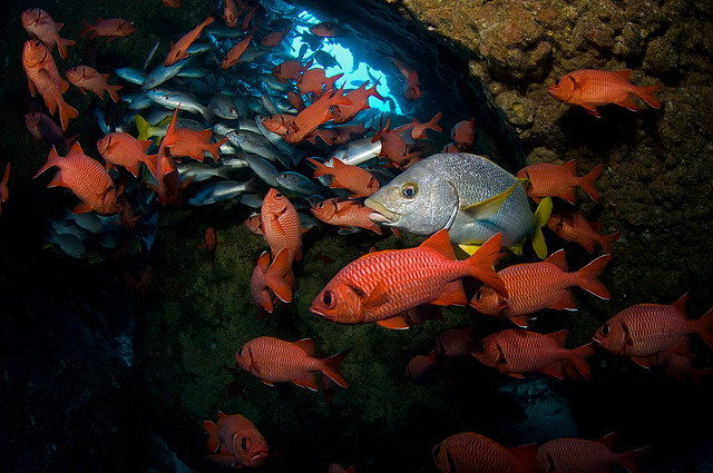 ココ島国立公園