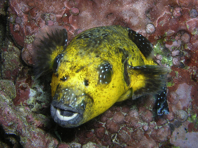 マルペロの 動植物保護区