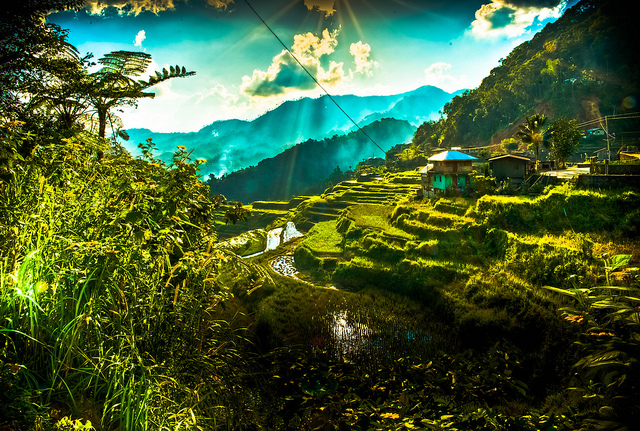 フィリピン・コルディリェーラの棚田群