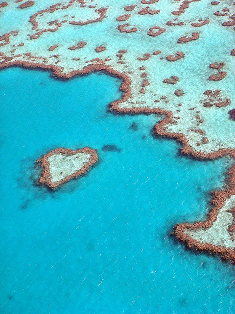 グレート・バリア・リーフ